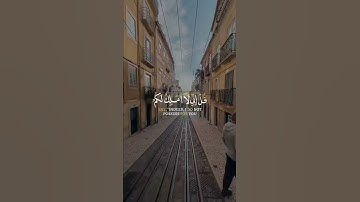 سورة الجن القارئ شريف مصطفى