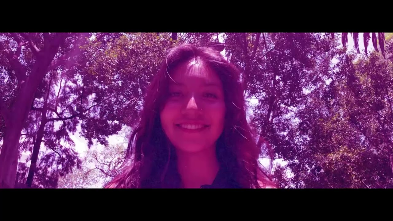 VideoClip  - i like the way you kiss me