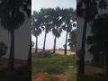 #tuticorin#redsoil #travelling