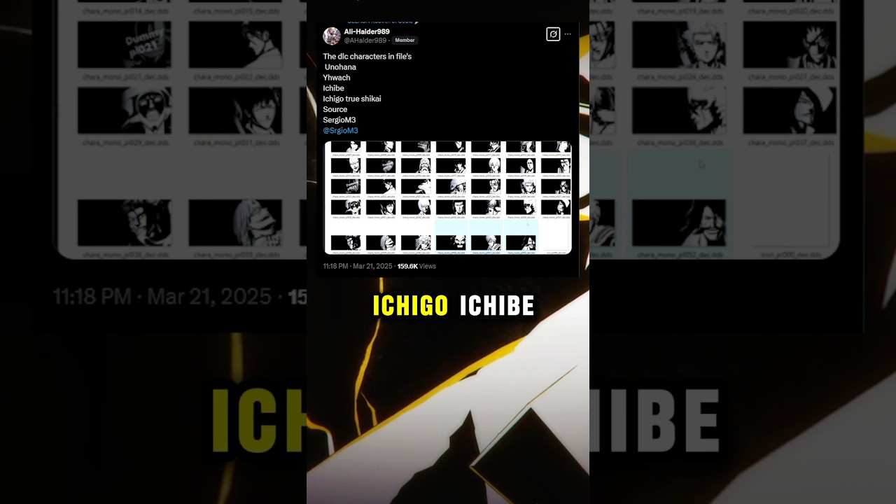 TYBW LEAKED FOR BLEACH REBIRTH OF SOULS