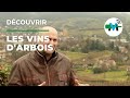  la dcouverte des vins darbois