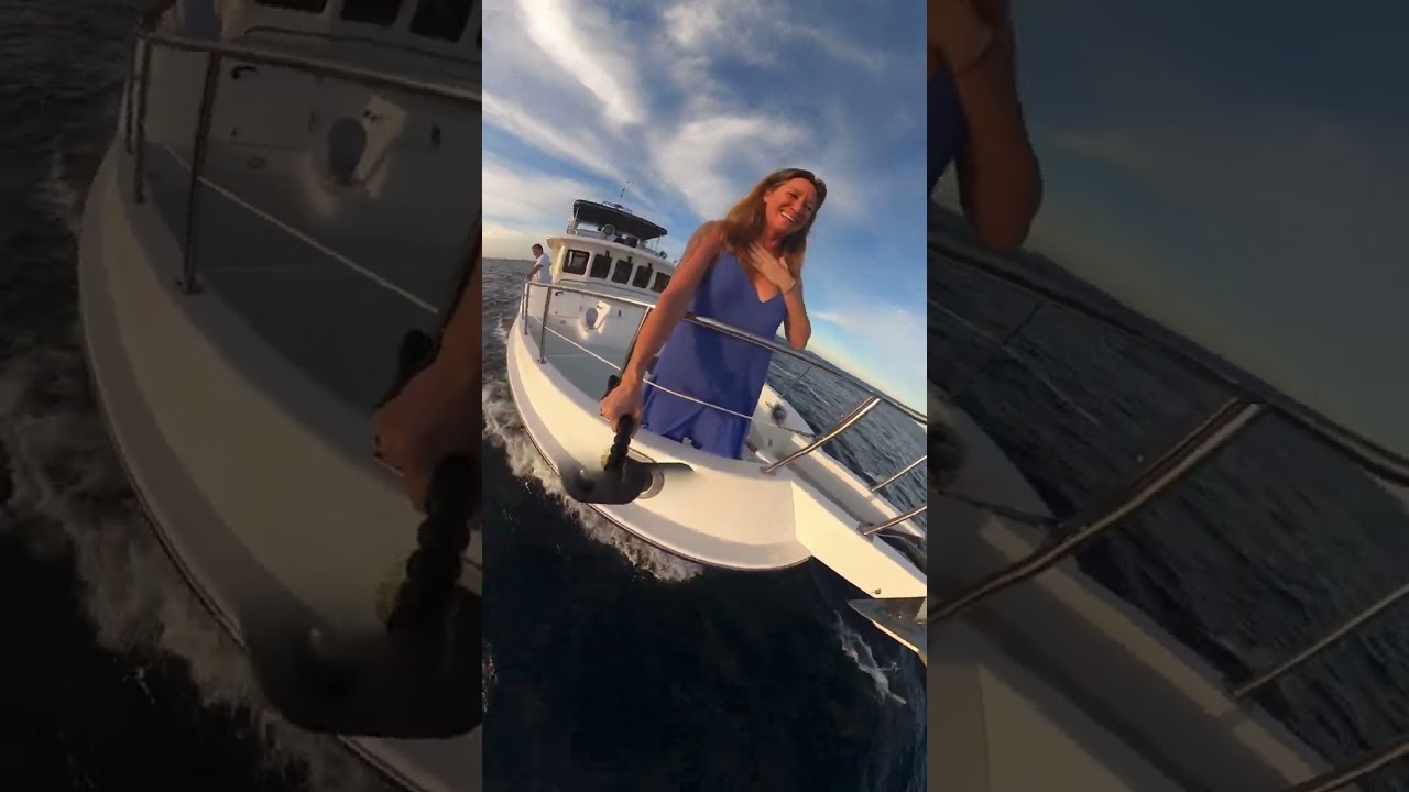 Dolphin Super Pod on the Bow!