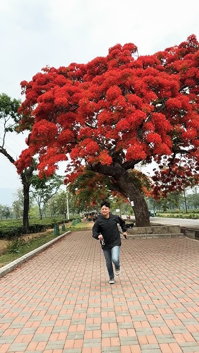 Happiness Depends Upon Ourselves travel nepali love new YouTube penetration-meaning-in-hindi-penetration-ka-matlab-kya-hota-hai