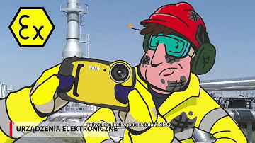 Visitor version (Polish) - Vesta Terminal Antwerp Safety Introduction Movie