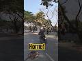 পাগলা হরনেট 🫡Race with Hornet #shortsfeed #youtubeshorts #trending #shorts