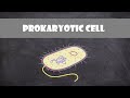 Prokaryotic Cell Structure & Function | Cell Biology