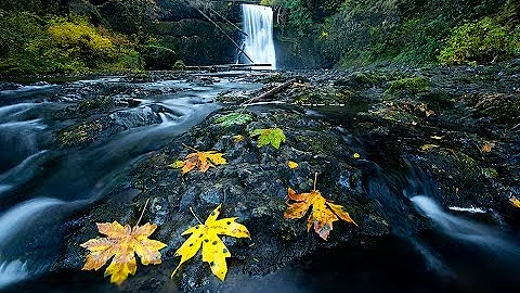 Waterfall Leaf Ep 343: You Keep Shooting with Bryan Peterson: Adorama Photography TV