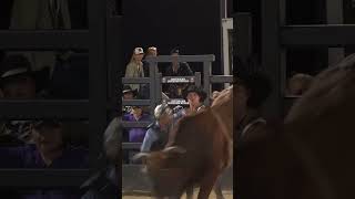 82.50-Point Ride! Luan Camara 🇧🇷 on Blood In The Water #pbr  #bullriding