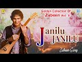 Janilu Janilu Je Moi - Remix Song | Assamese Adhunik Song | Zubeen Garg | Jonaki Mon | Love Song Mp3 Song