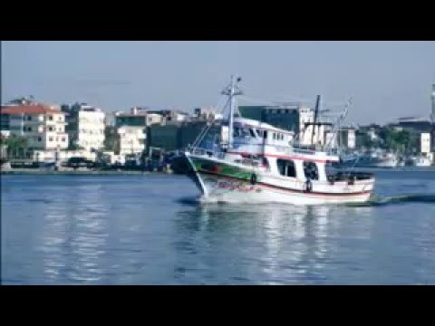 بحبك يا مصر فايزه أحمد