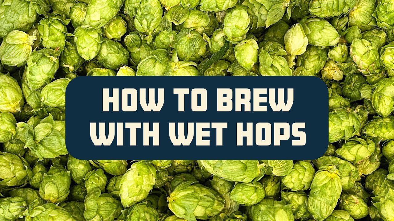 How to Brew with Wet (aka "Fresh") Hops YouTube
