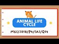 Animal Life Cycles Quiz