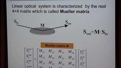 Colloquiuim: Tatiana Novikova