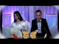 اهداء الى العروسين من عبدالله الشربينى الى احمد جاد امل 