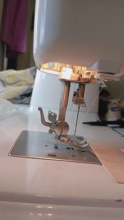 How To Cut Shirt Sleeves Beginners Shirts Sewing diysewing how-to-cut-shorter-sleeves-on-a-tshirt-cut-cap-sleeves-easy-diy