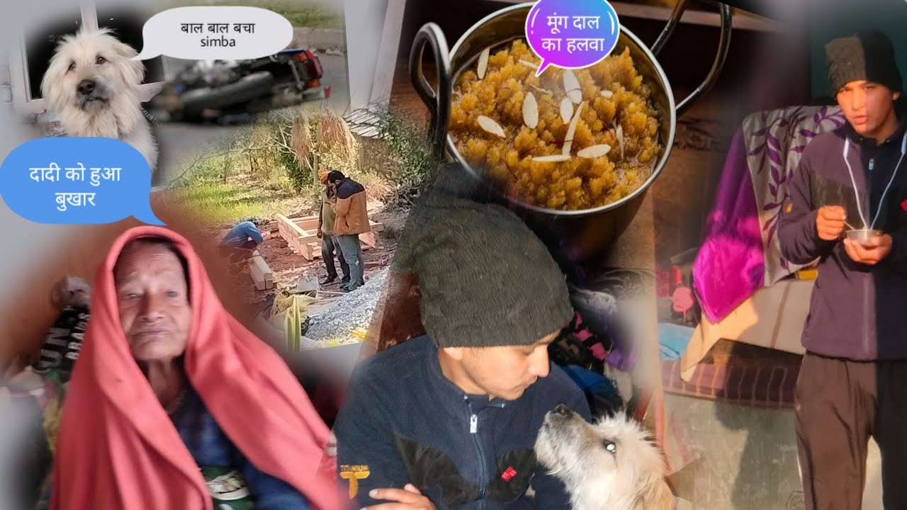 Simba बाल बाल बचा हो gaya था accident 😔, ghar ka काम v लगातार चल रहा है 🧱