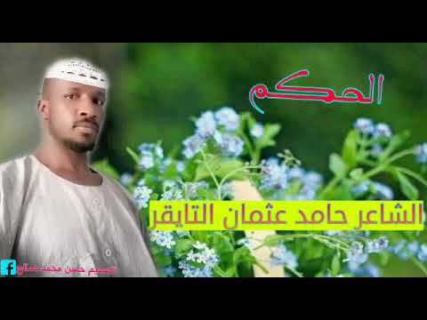 الشاعر حامد عثمان التايقر