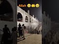 Allah 🥹🥹🤲🔥💯🔥💯❤️🥹🤲🤲 #animals #edit #funny #blackwidow #funnyanimals #marvel #prank #panda #1k