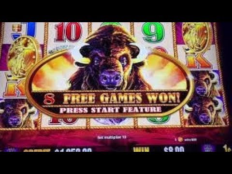 Camping Fun & a Lucky Casino Win! Let