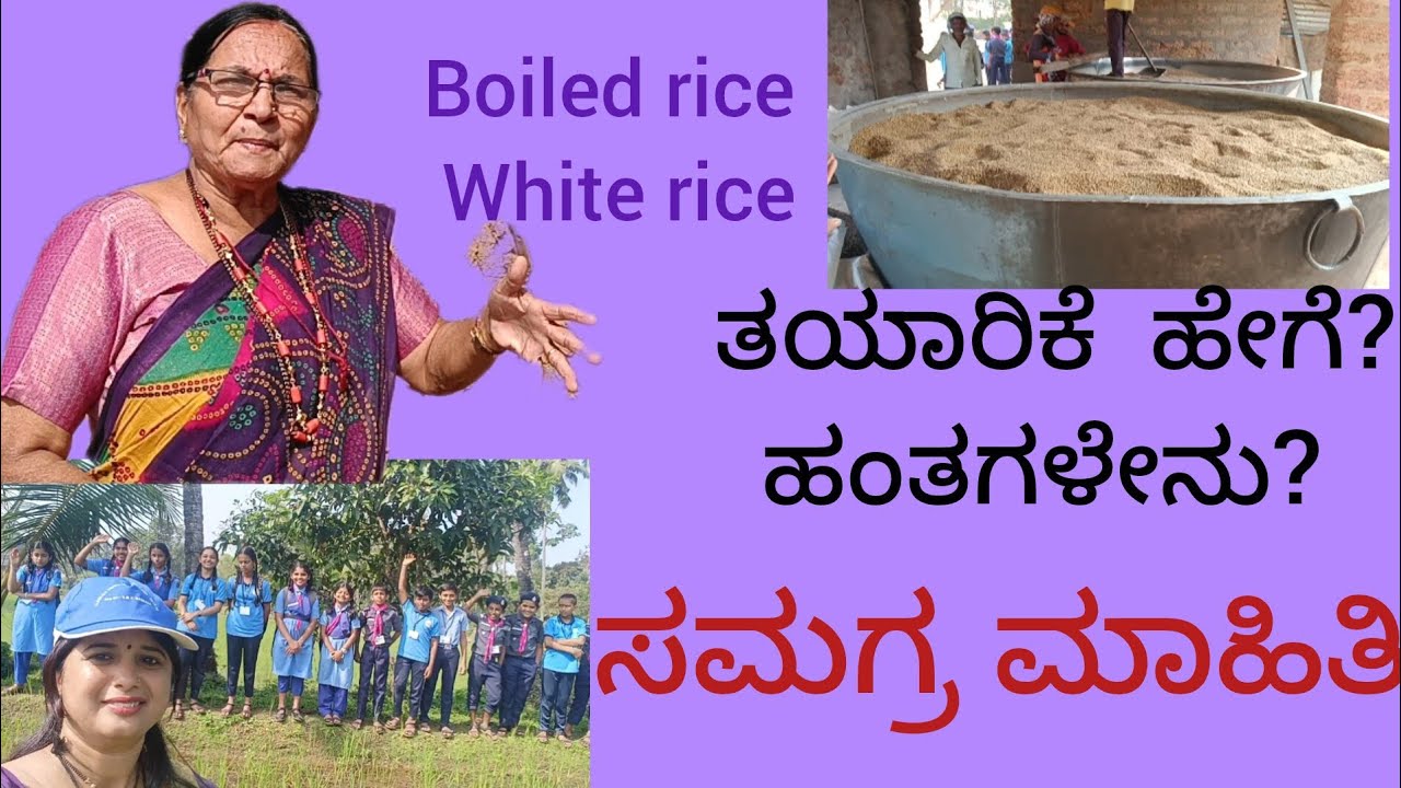 Rice #paddy#steps#boiled#white rice#step by step#process#ricemill - YouTube