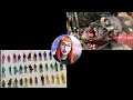 Beginning of video