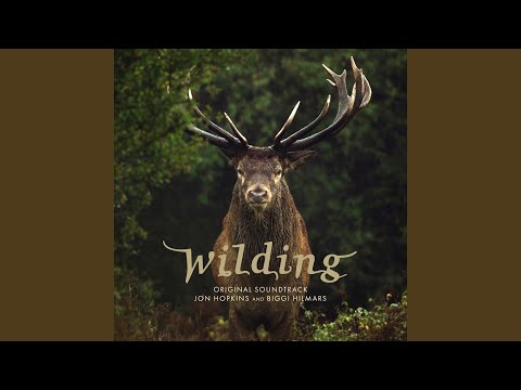 Putar Ground Transformation - Jon Hopkins