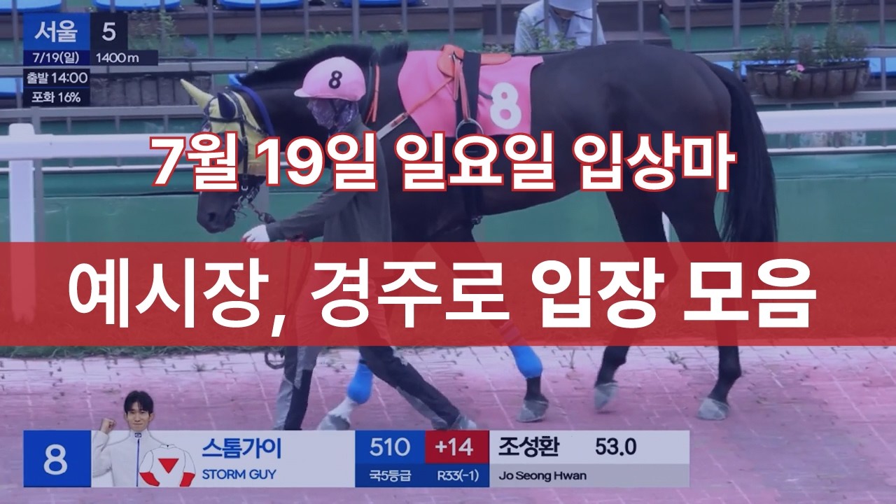 [7월 19일 일요일 입상마] 예시장, 경주로 입장 모음
