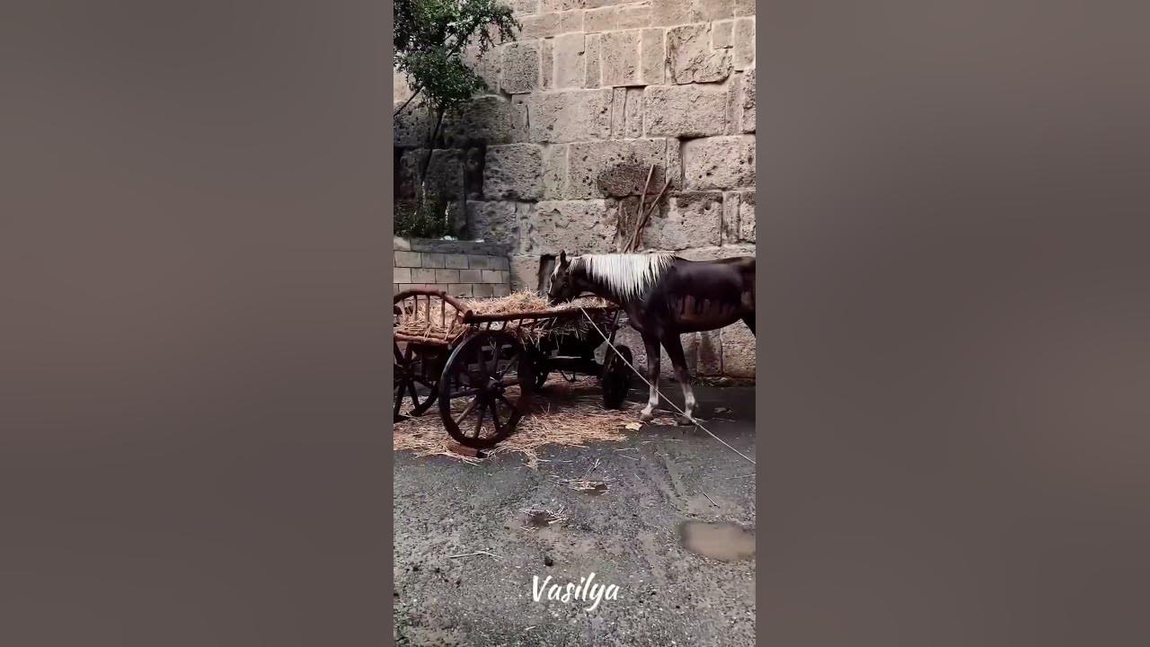 Дербент - YouTube