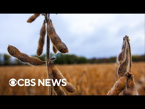 Farmer aid package could be announced within 2 weeks, USDA head says