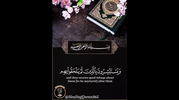 مقتطفات من #سورة_آل_عمران بصوت #اسلام_صبحي