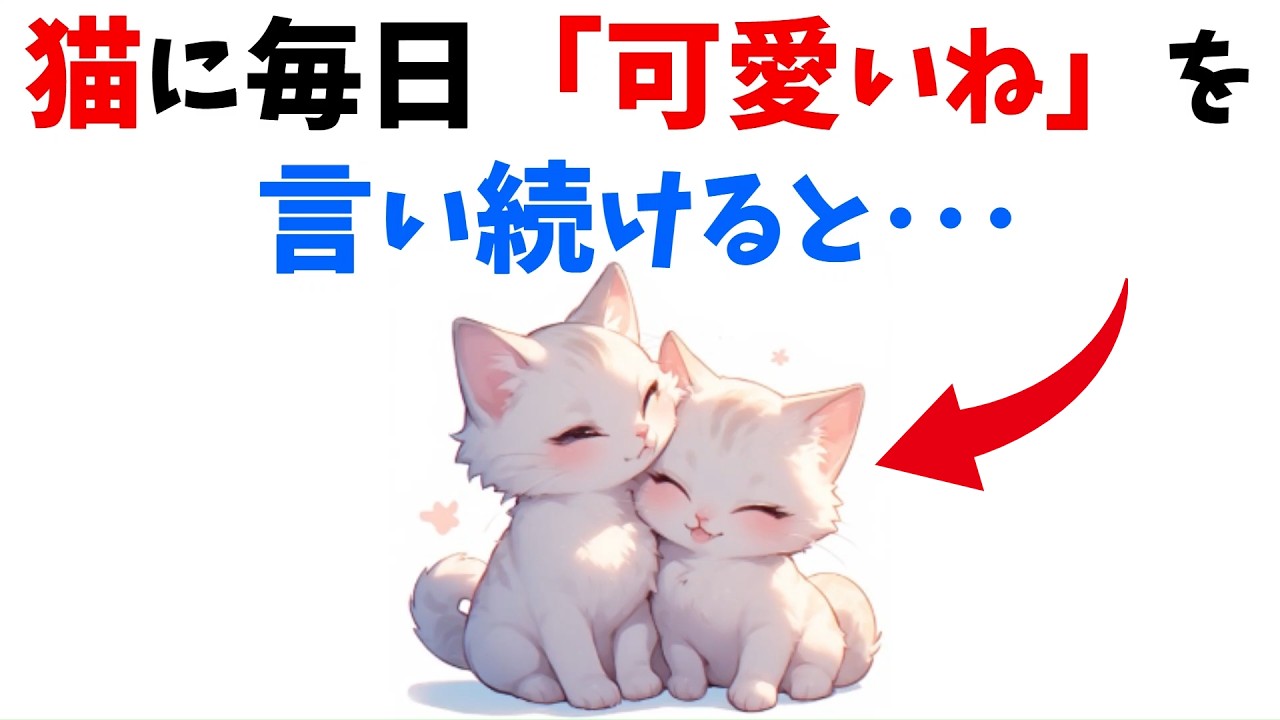 【猫が変わる】「可愛いね」と話しかけ続けると起きること12選