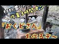 【超高速】レンガと赤土でカマドを作る