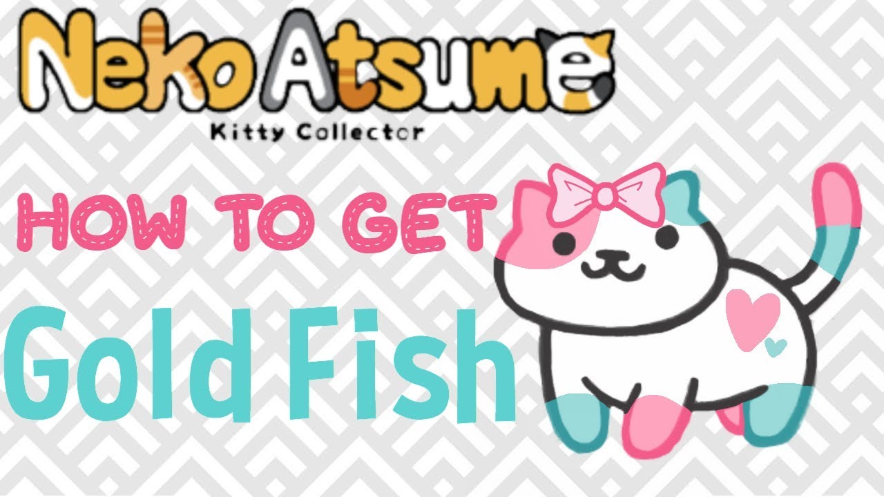 How To Get Gold Fish Neko Atsume Tips Tricks Read Pinned Comment Youtube