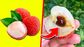 Top 20 Foods That Can Literally Kill You (Part 2)