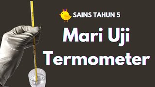 Haba (Eksperimen Mari Uji TERMOMETER) | Sains Tahun 5