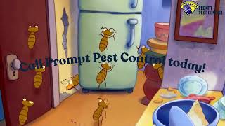 Emergency Ant Control London | Fast &amp; Safe Ant Removal | Prompt Pest Control