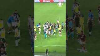 PAULINHO PEDE SILÊNCIO EM COMEMORAÇÃO E CONFUSÃO MARCA FIM DE FLAMENGO X PALMEIRAS | SHORTS