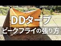 DDタープ おすすめの張り方 ビークフライ