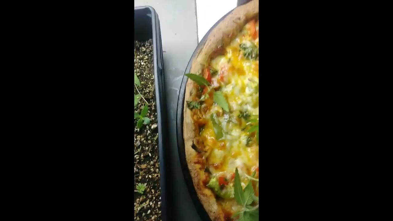broccoli-hemp-and-cannabis-sprouts-kill-prostate-cancer-youtube