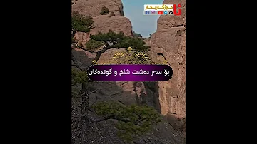 صلى عليك الله يا خير الورى بصوت الطفل 