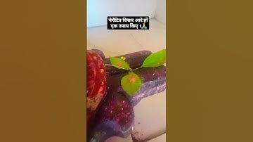 #shortvideo#मन में गलत गलत विचार आरे तो एक उपाय किए।मन शांत हो जाइए।#शिव महापुराण कथा द्वारा उपाय#