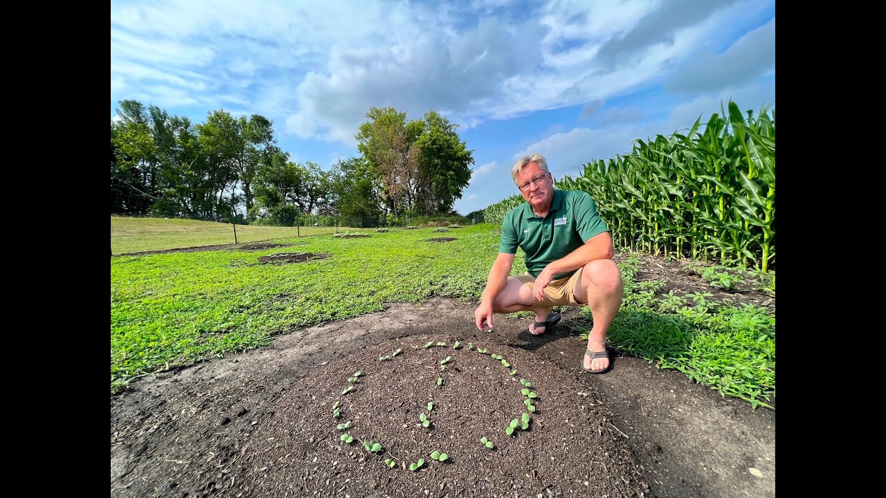 Growing Squash, Melons & Pumpkins On Mounds MAXIMIZE Sprouting, Drainage, Growth & Harvest