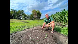 Growing Squash, Melons & Pumpkins On Mounds | MAXIMIZE Sprouting, Drainage, Growth & Harvest!