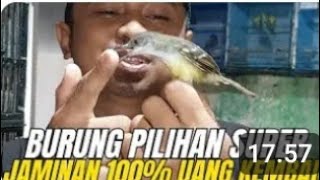 INFO BONGKARAN LAGI BOS KU BURUNG PILIHAN JANTAN SUPER CALON ring DJ liputan bersama om @DuaSekawan