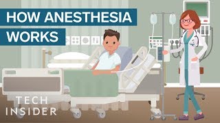 How Anesthesia Affects Your Brain And Body