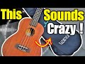 Too Good for This Price ?😳 | Kadence Ukulele review | budget ukelele | kadence ukulele