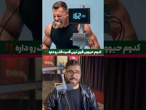 کدوم حیوون قویترین فک رو داره 