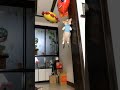 #funny