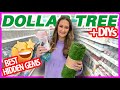 🤯 Dollar Tree BOMBSHELL secret revealed! What? New finds, hidden gems + DIYs!