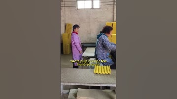 A project brings 10 times the return! The egg tray machine business has amazing output #machine